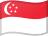 sg flag